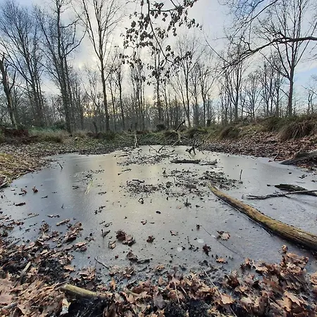 Seaside Gem With Views - By Traum Casa vacanze